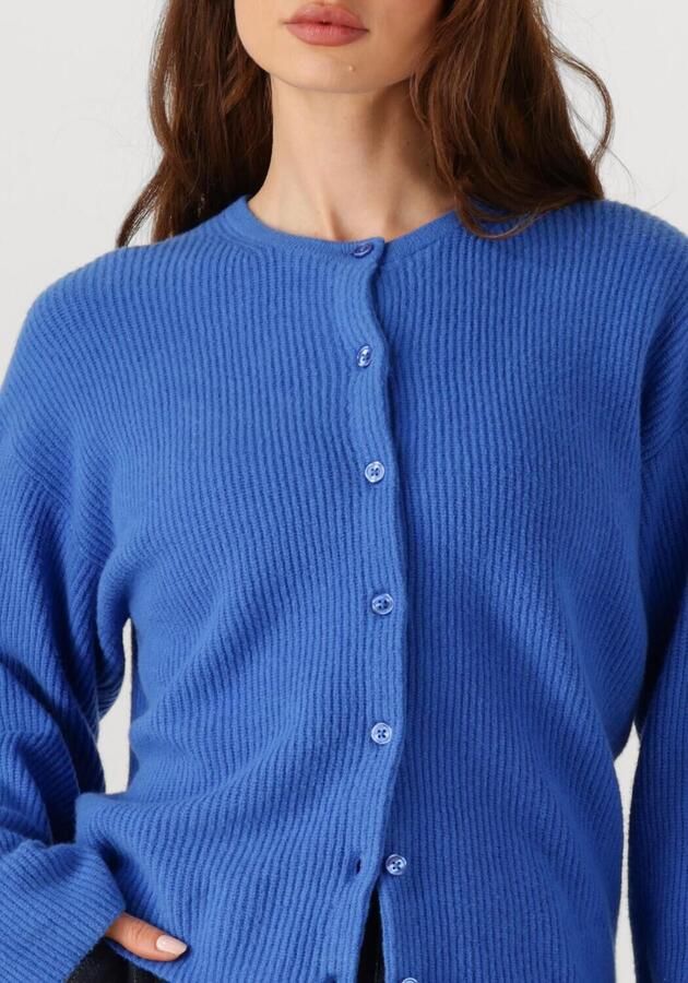 PENN & INK Dames Truien & Vesten Cardigan W25b345 Blauw - Foto 3