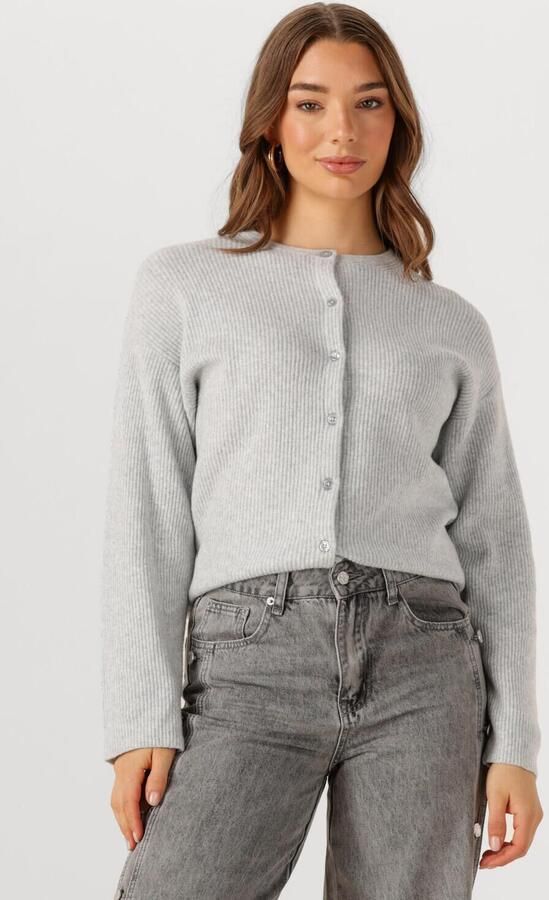PENN & INK Dames Truien & Vesten Cardigan W25b345 Lichtgrijs - Foto 4