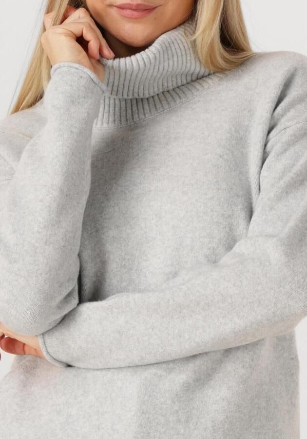 PENN & INK Dames Truien & Vesten Jumper Lichtgrijs