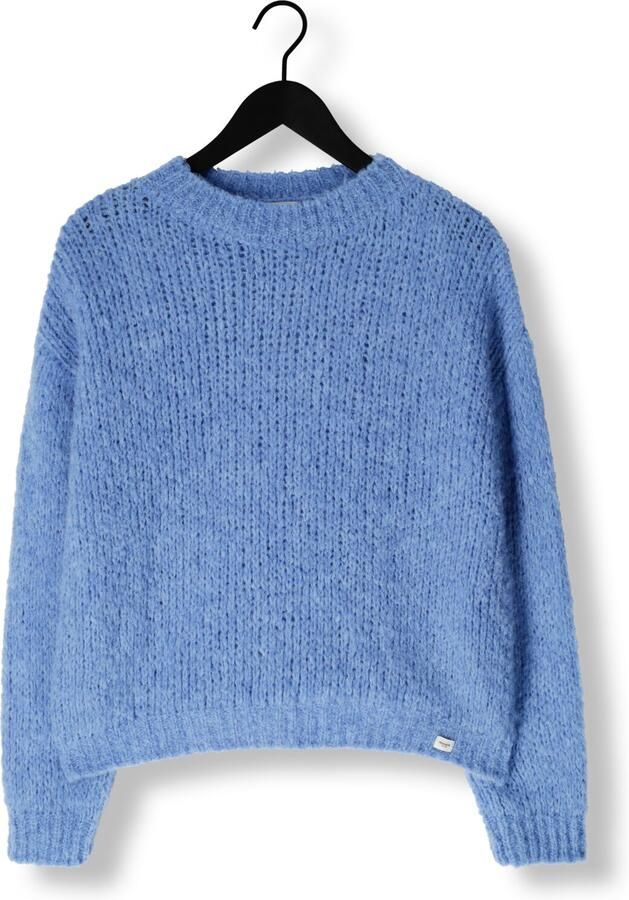 PENN & INK Dames Truien & Vesten Jumper W25l246 Blauw - Foto 3