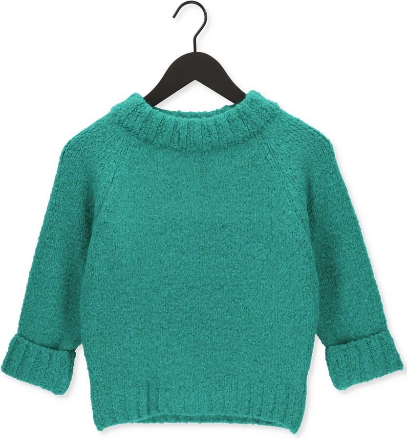 PENN & INK Dames Truien & Vesten Pullover 3 4 Groen