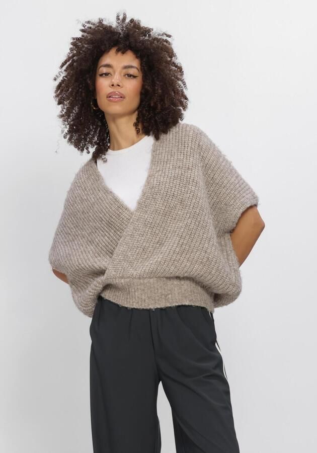PENN & INK Dames Truien & Vesten W26c396 Taupe