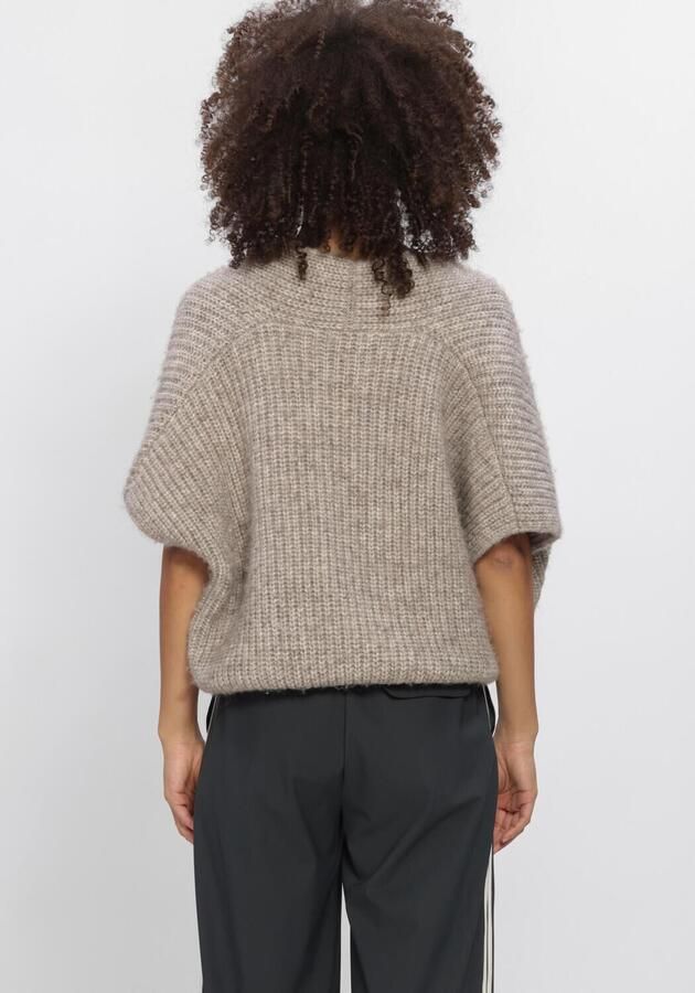 PENN & INK Dames Truien & Vesten W26c396 Taupe - Foto 3