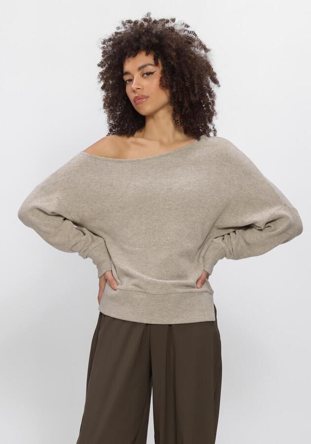 PENN & INK Dames Truien & Vesten W26t1302 Zand