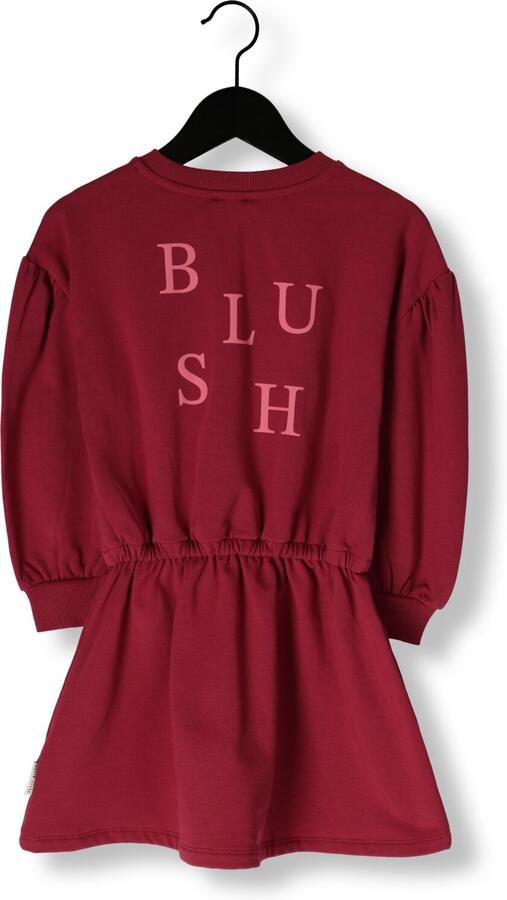 PETIT BLUSH Meisjes Jurken Skater Dress Blush Bordeaux - Foto 2