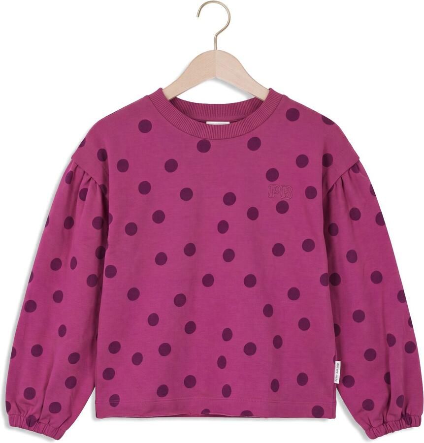 PETIT BLUSH Meisjes Truien & Vesten Carly Sweater Dots Fuchsia