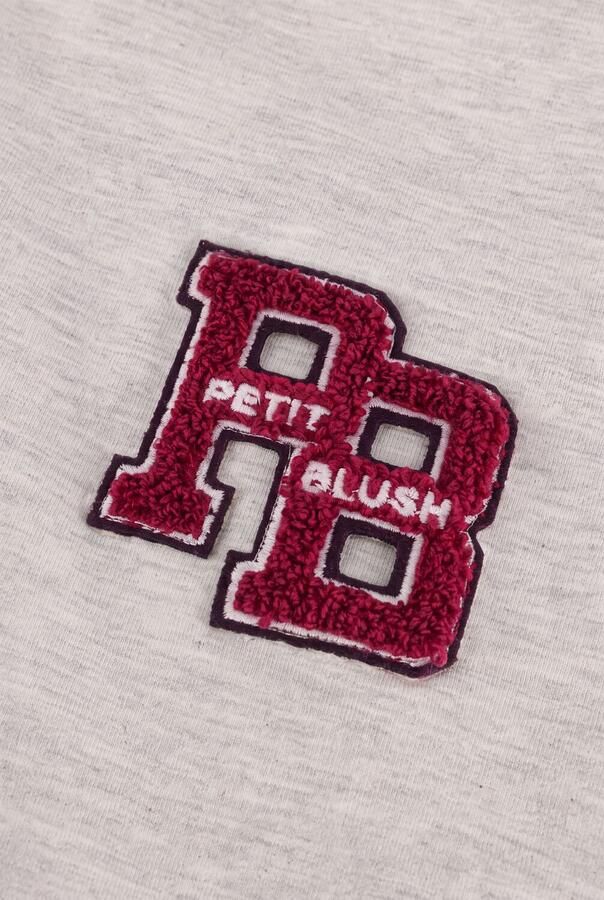 PETIT BLUSH Meisjes Truien & Vesten Easy Sweater Pb Logo Lichtgrijs - Foto 3