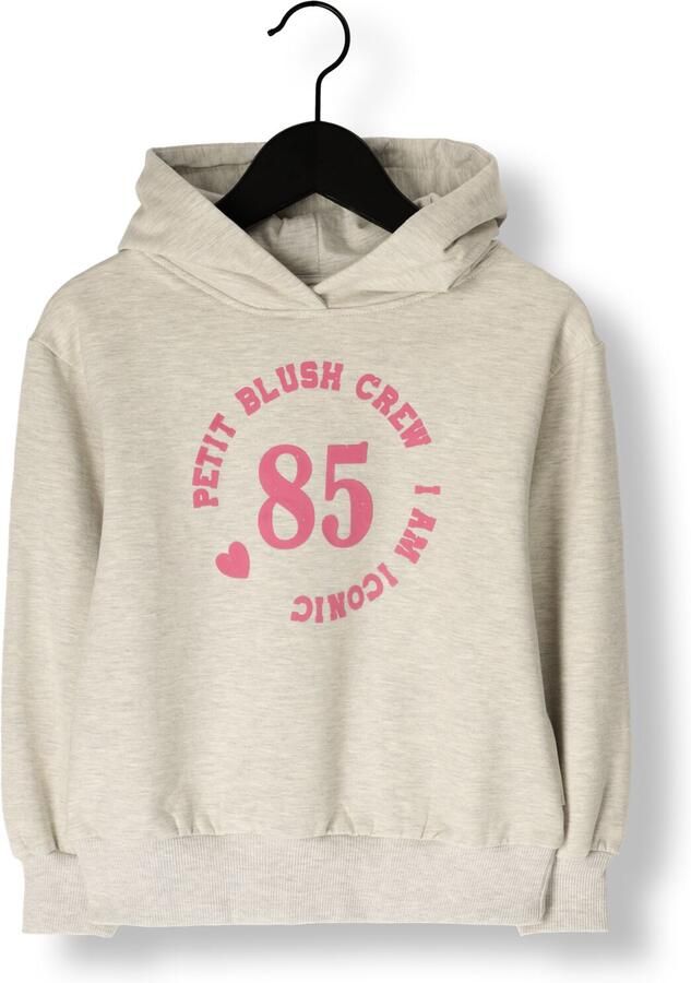 PETIT BLUSH Meisjes Truien & Vesten Hooded Sweater Lichtgrijs - Foto 4