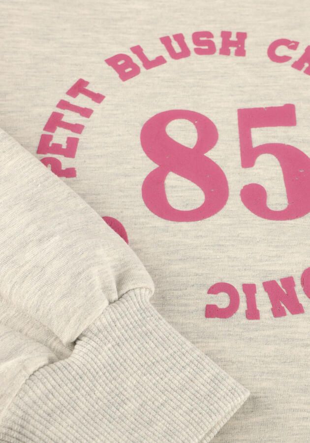 PETIT BLUSH Meisjes Truien & Vesten Hooded Sweater Lichtgrijs - Foto 3