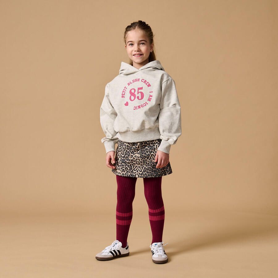 PETIT BLUSH Meisjes Truien & Vesten Hooded Sweater Lichtgrijs