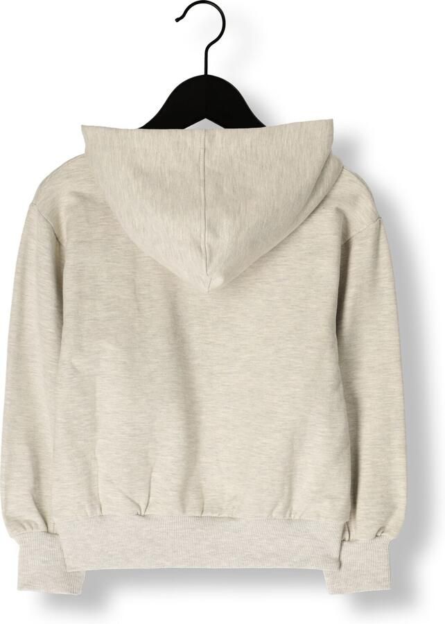 PETIT BLUSH Meisjes Truien & Vesten Hooded Sweater Lichtgrijs - Foto 2