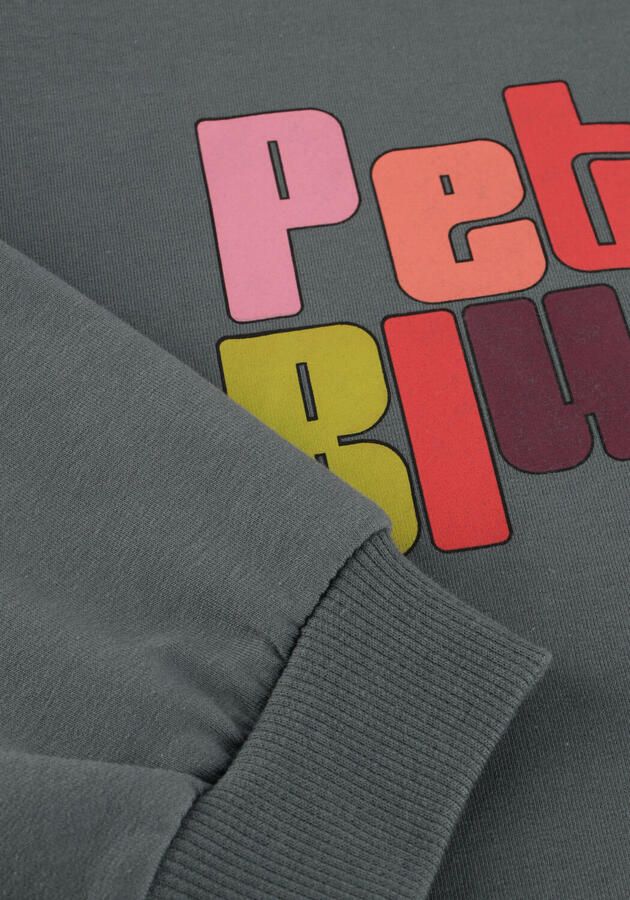 PETIT BLUSH Meisjes Truien & Vesten June Ruffle Sweater Donkergrijs - Foto 3