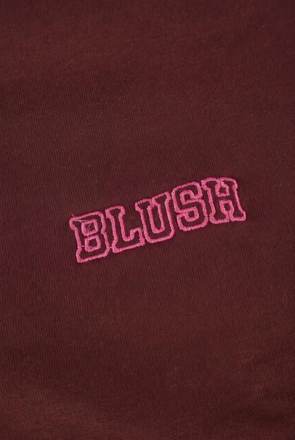 PETIT BLUSH Meisjes Truien & Vesten Luca Sweater Bordeaux