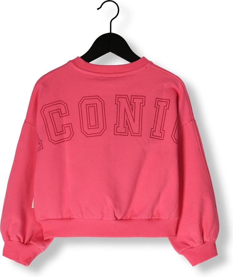 PETIT BLUSH Meisjes Truien & Vesten Luca Sweater Iconic Roze - Foto 2