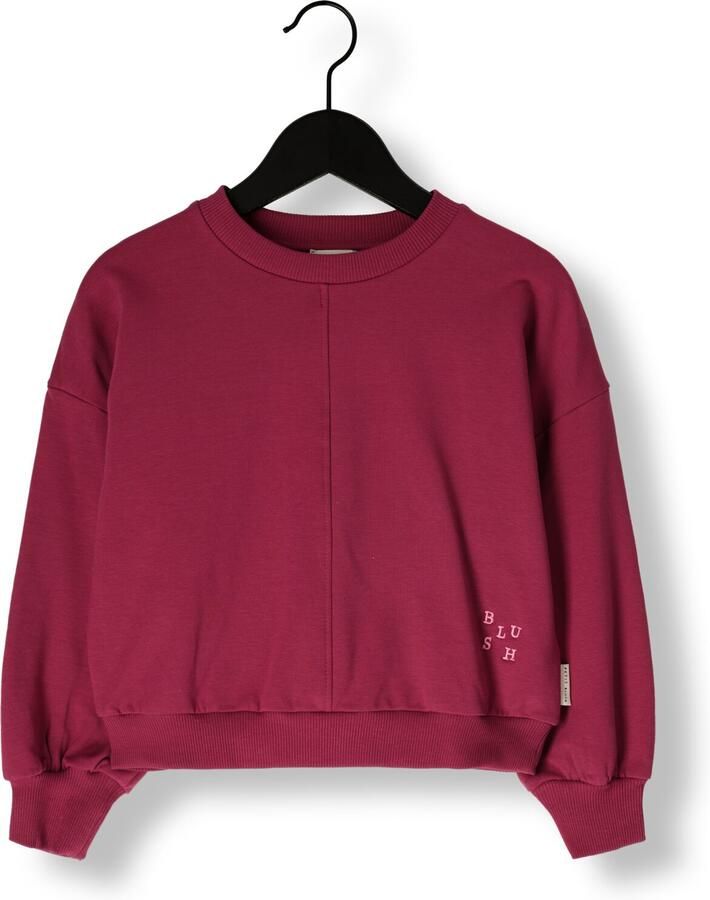 PETIT BLUSH Meisjes Truien & Vesten Luca Sweater Paars - Foto 3