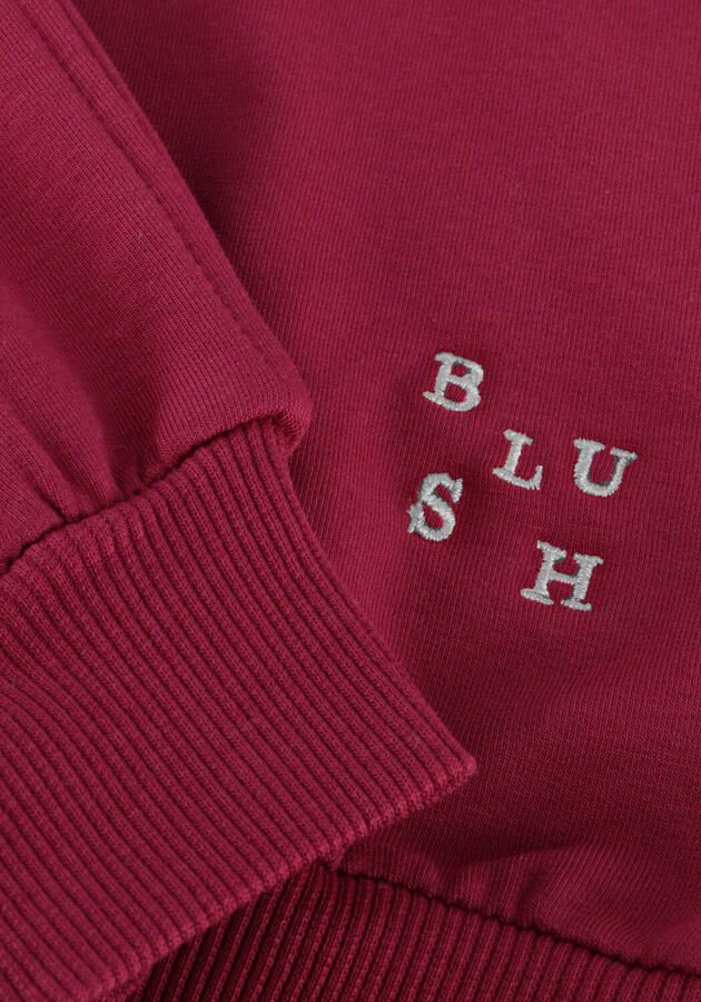 PETIT BLUSH Meisjes Truien & Vesten Luca Sweater Paars - Foto 2