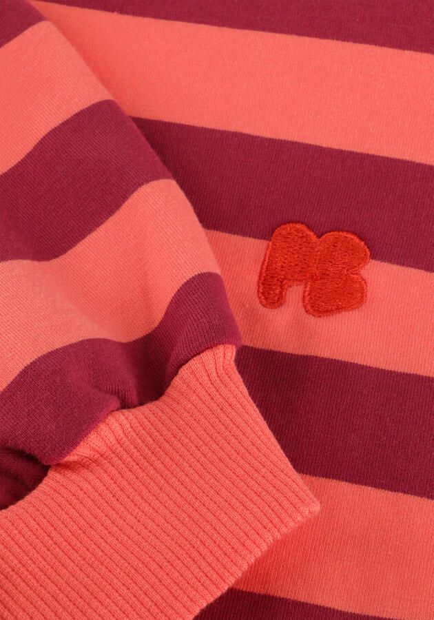 PETIT BLUSH Meisjes Truien & Vesten Sweater Stripe Multi - Foto 2