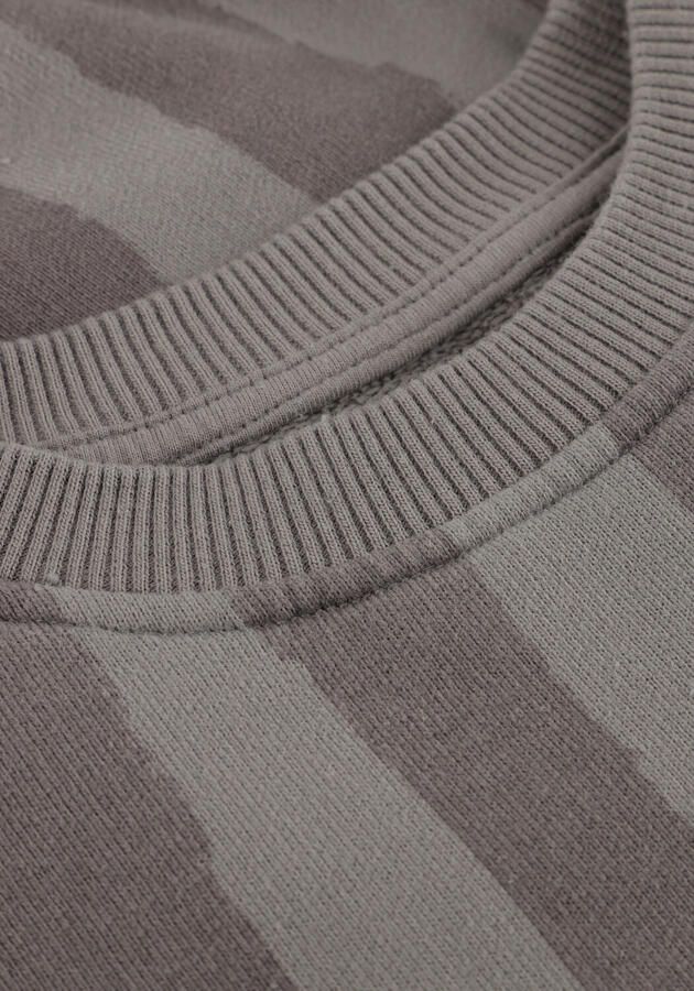 PLAY UP Jongens Truien & Vesten Printed Fleece Sweater P Taupe - Foto 2