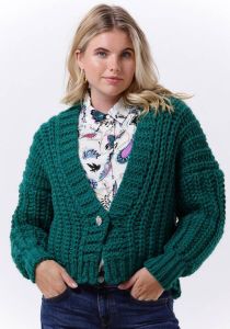 Pom Amsterdam Groene Vest Cardigan 6962
