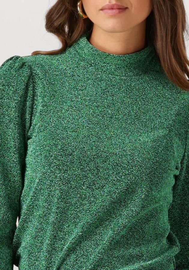POM AMSTERDAM Dames Truien & Vesten Turtleneck Glitterr Pine Green Groen