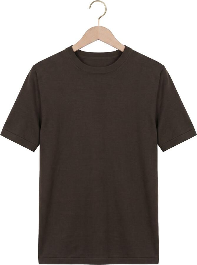 PROFUOMO Heren Polo's & T-shirts T-shirt Crew Neck Ss Aero Ease Bruin - Foto 2