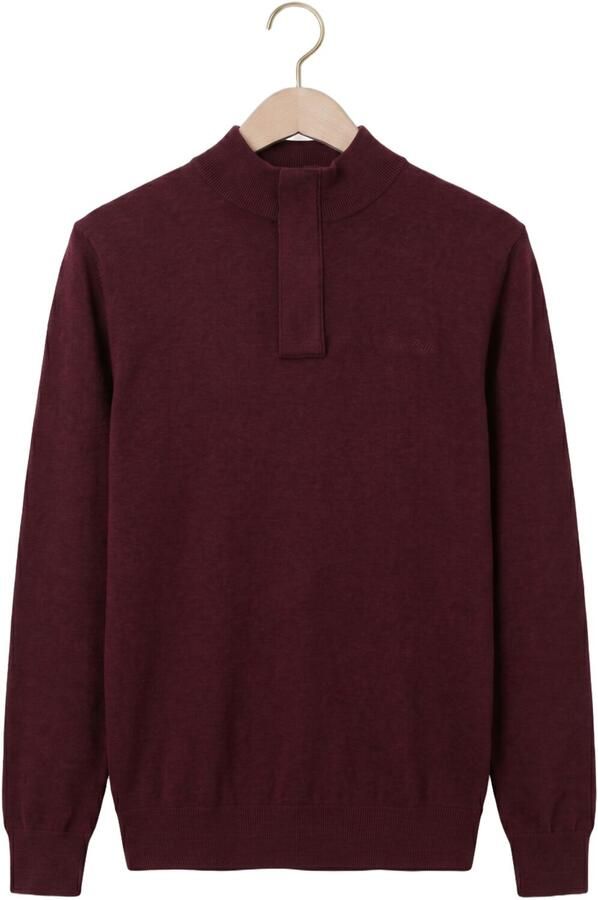 PURE PATH Heren Truien & Vesten Light Weight Hidden Half-zip Bordeaux - Foto 4