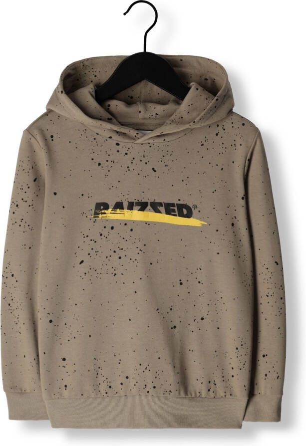 Raizzed hoodie Devrim met tekst beige Sweater Tekst 104