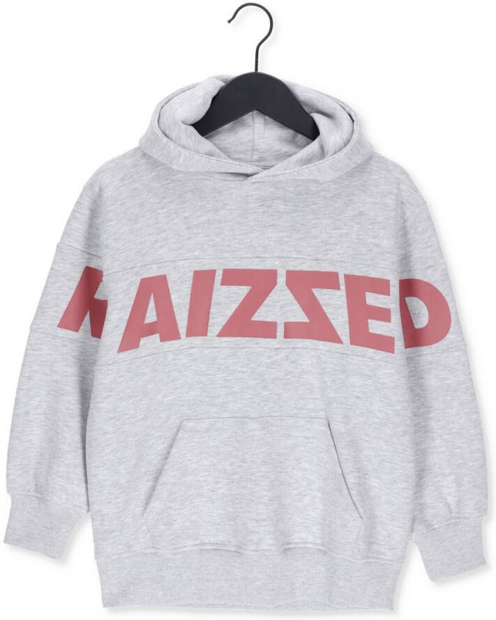 Raizzed hoodie Newark met logo lichtgrijs melange