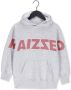Raizzed hoodie Newark met logo lichtgrijs melange - Thumbnail 1