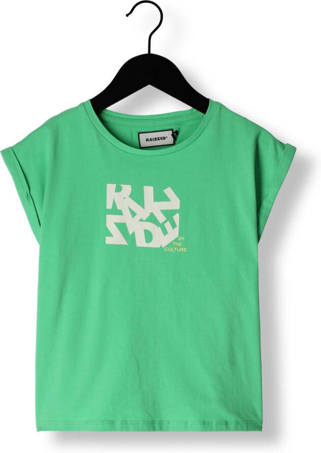 Raizzed T-shirt met printopdruk groen Meisjes Katoen Ronde hals Printopdruk 116
