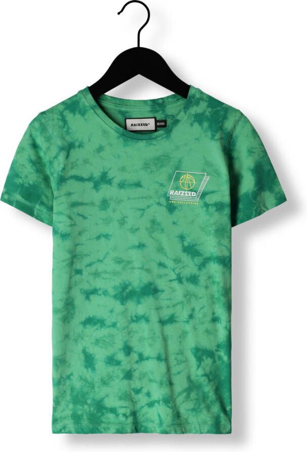 RAIZZED Jongens Polo's & T-shirts Shields Groen