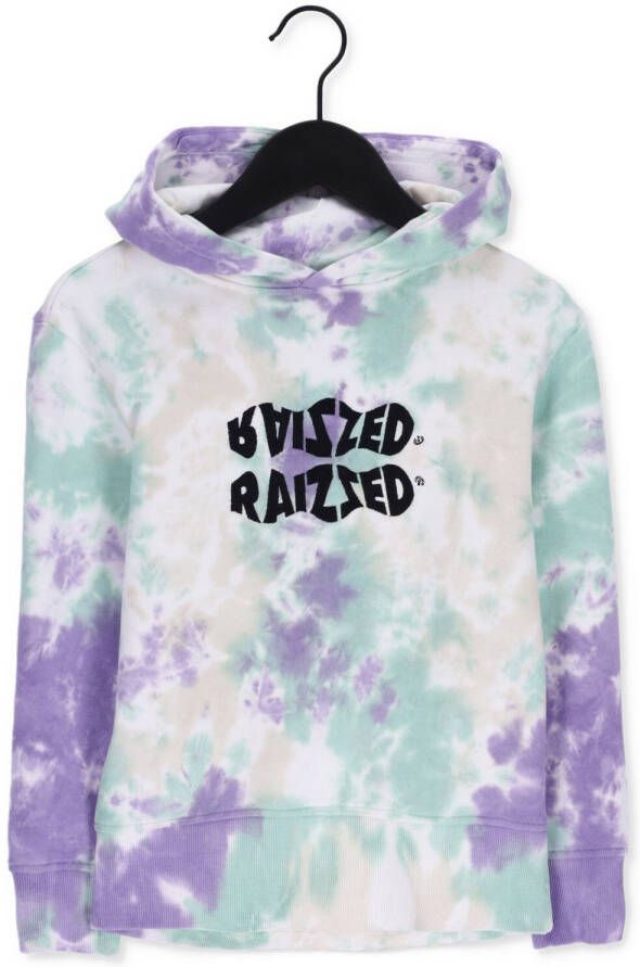 Raizzed Multi Sweater Arizona