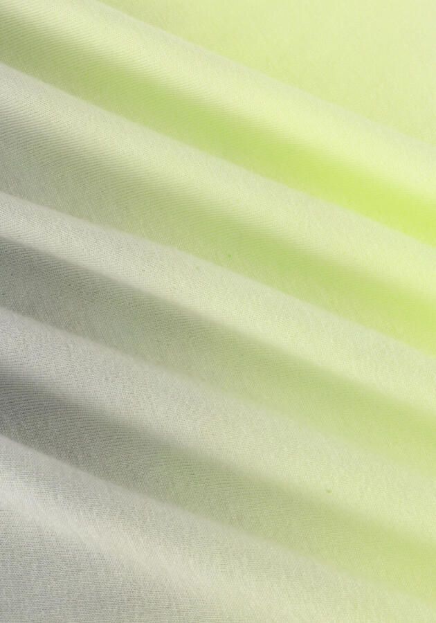 RAIZZED Jongens Polo's & T-shirts Horizon Lime