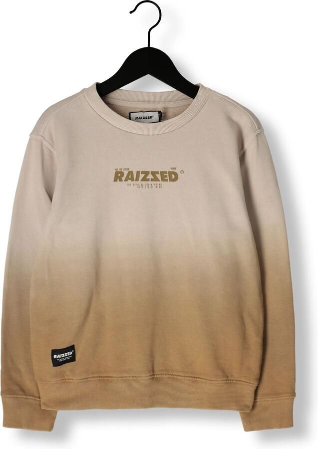 RAIZZED Jongens Truien & Vesten Male Zand - Foto 2