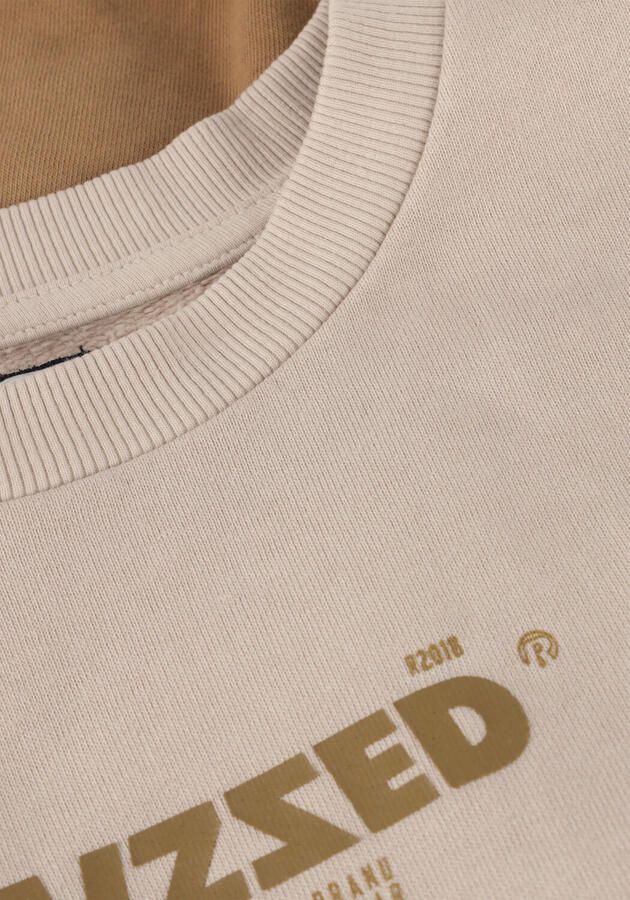 RAIZZED Jongens Truien & Vesten Male Zand