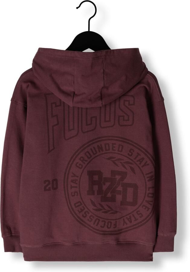 RAIZZED Jongens Truien & Vesten Nai Bordeaux - Foto 2