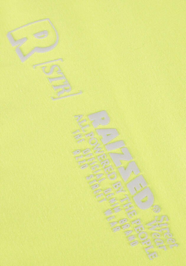 RAIZZED Jongens Truien & Vesten Nart Lime