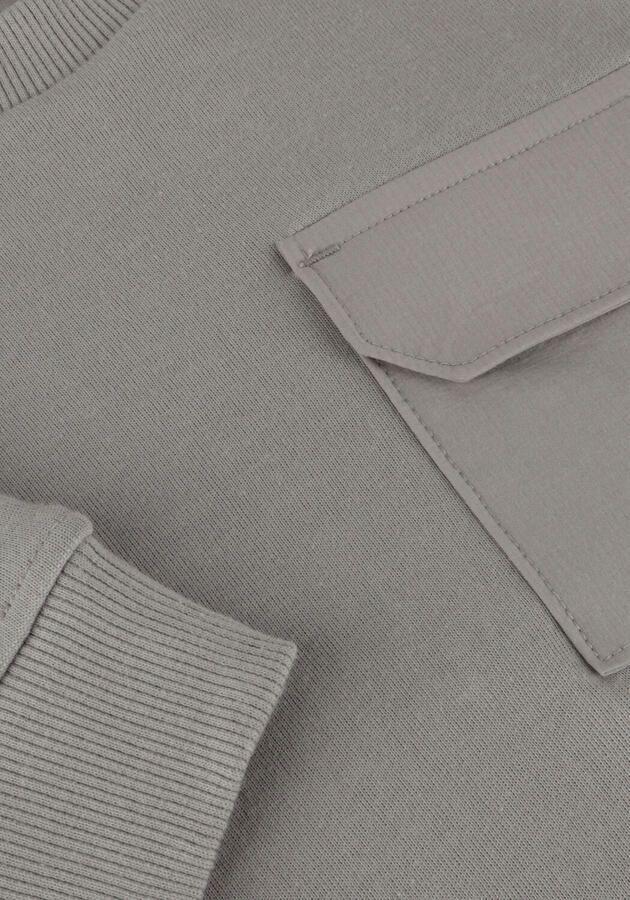 RAIZZED Jongens Truien & Vesten Nashua Lichtgrijs - Foto 3