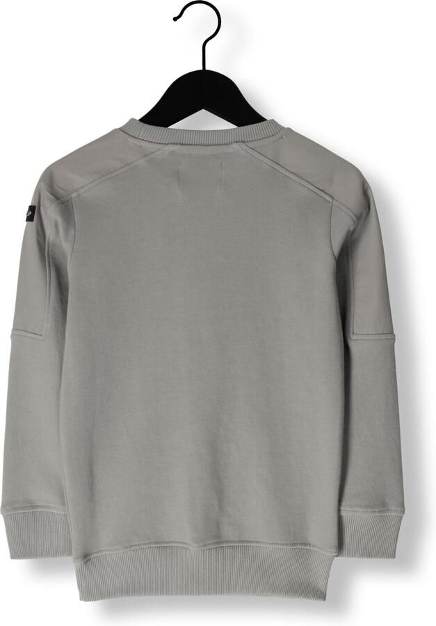 RAIZZED Jongens Truien & Vesten Nashua Lichtgrijs