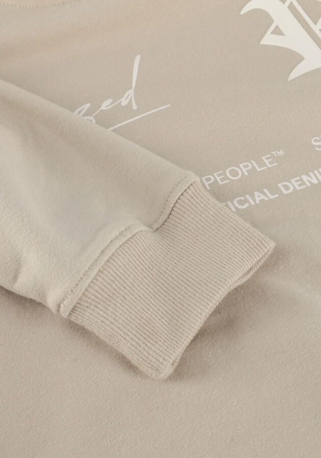 RAIZZED Jongens Truien & Vesten Nile Beige - Foto 3