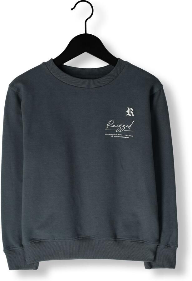 RAIZZED Jongens Truien & Vesten Nile Grijs - Foto 2