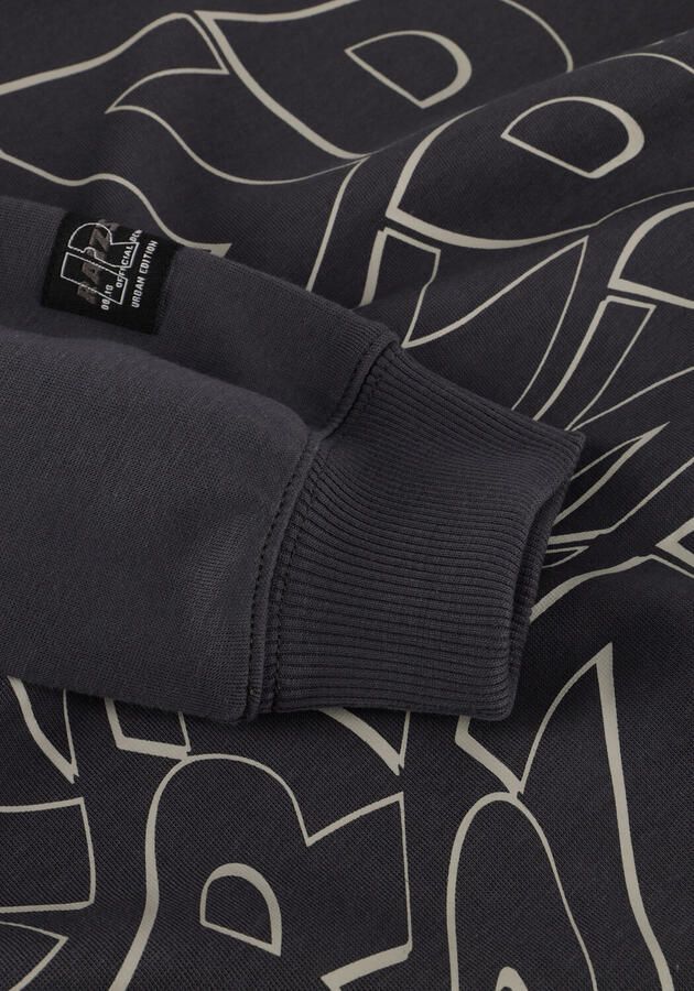 RAIZZED Jongens Truien & Vesten Noby Grijs