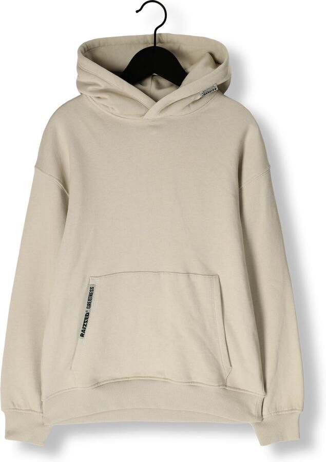 RAIZZED Jongens Truien & Vesten Norman Kit - Foto 3