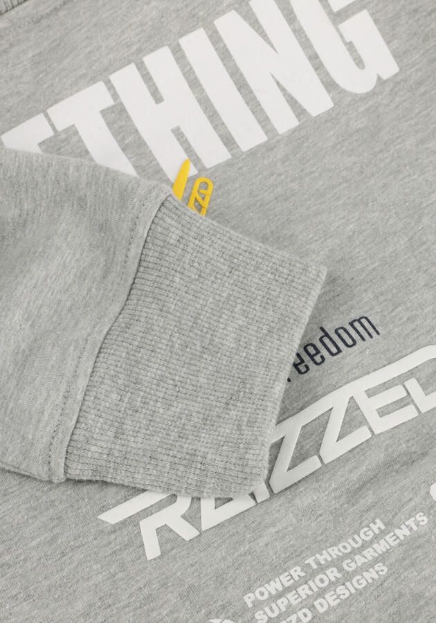 RAIZZED Jongens Truien & Vesten Norwin Grijs - Foto 2