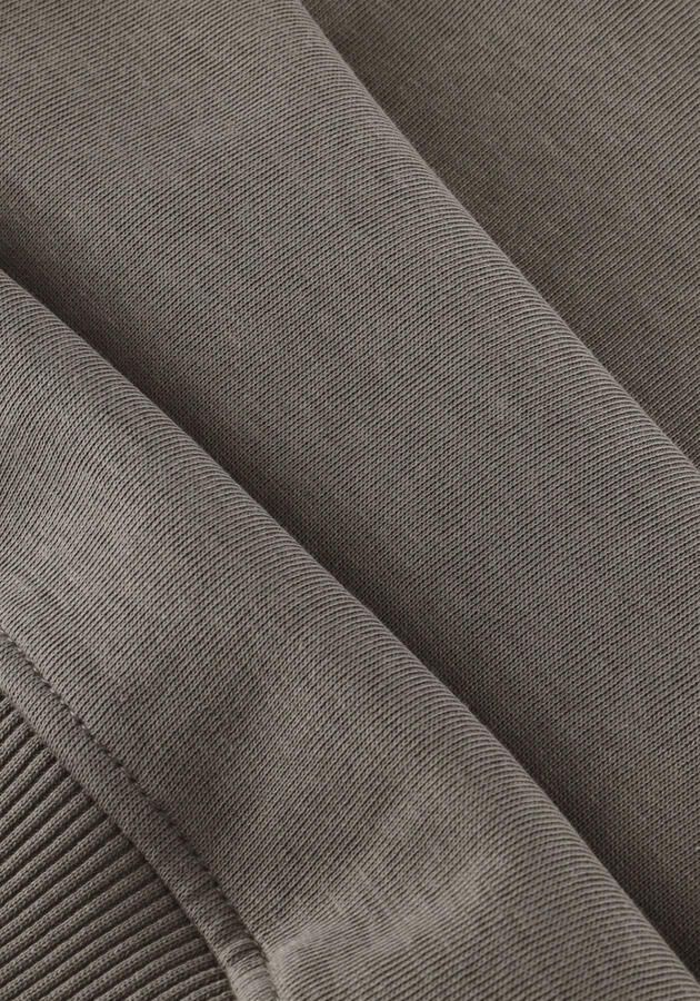 RAIZZED Jongens Truien & Vesten Nuper Taupe - Foto 2