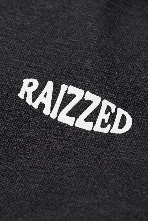 RAIZZED Jongens Truien & Vesten Sobill Antraciet