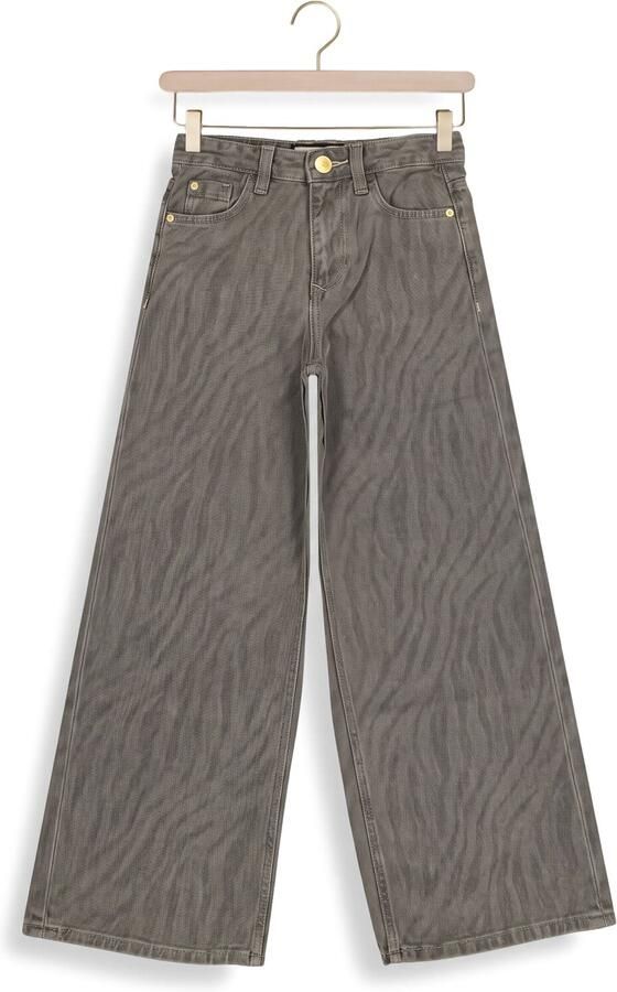 Raizzed Monaco Zebra high waist wide leg jeans grijs