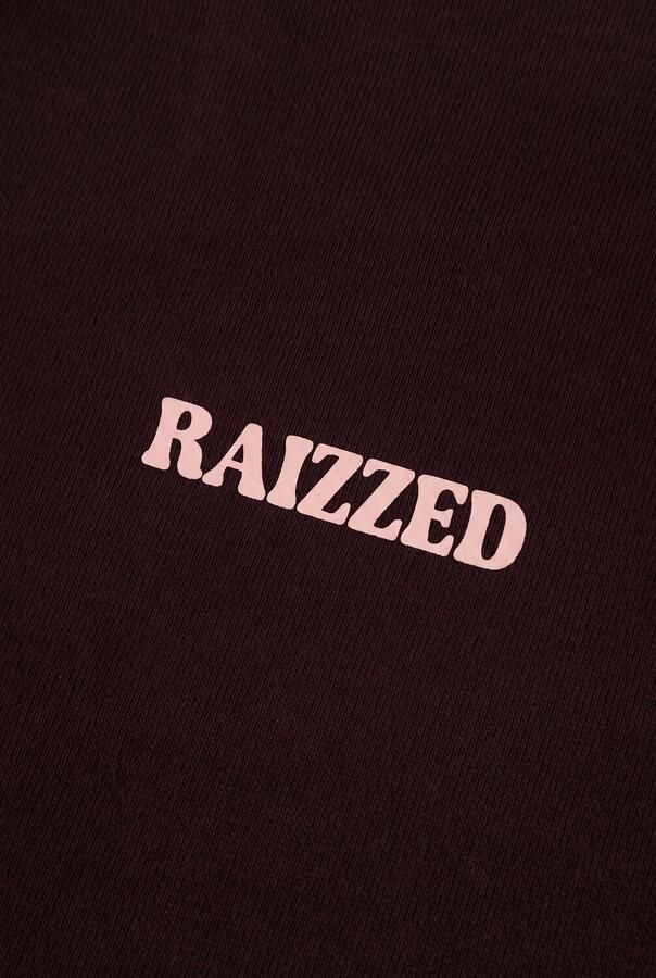 RAIZZED Meisjes Truien & Vesten Sifra Bruin - Foto 3