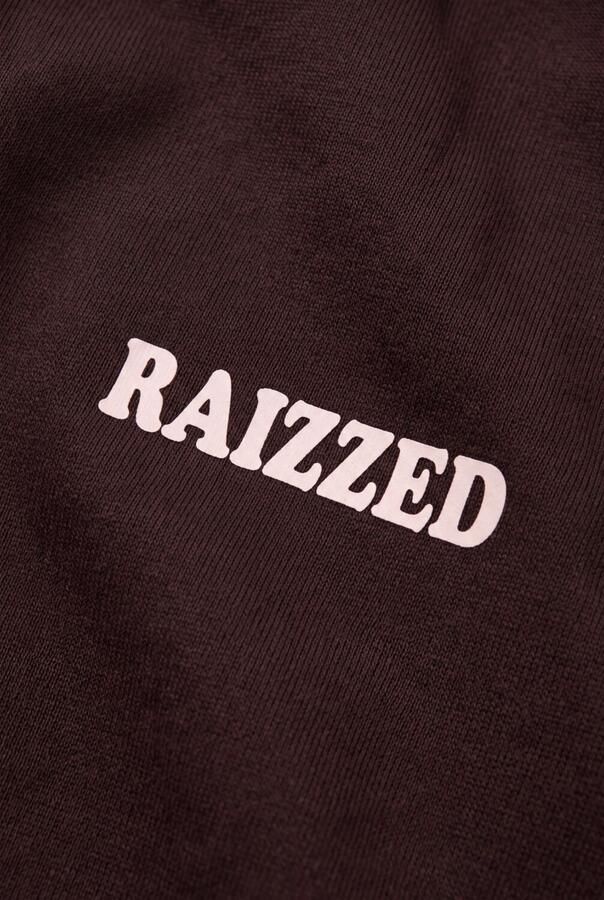 RAIZZED Meisjes Truien & Vesten Sifra Bruin - Foto 3