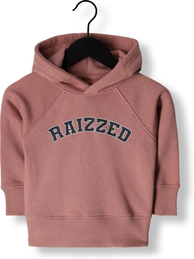 Raizzed Roze Sweater Charlotte